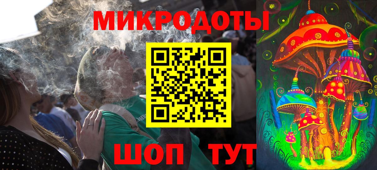 Псилоцибиновые грибы Psilocybe Златоуст