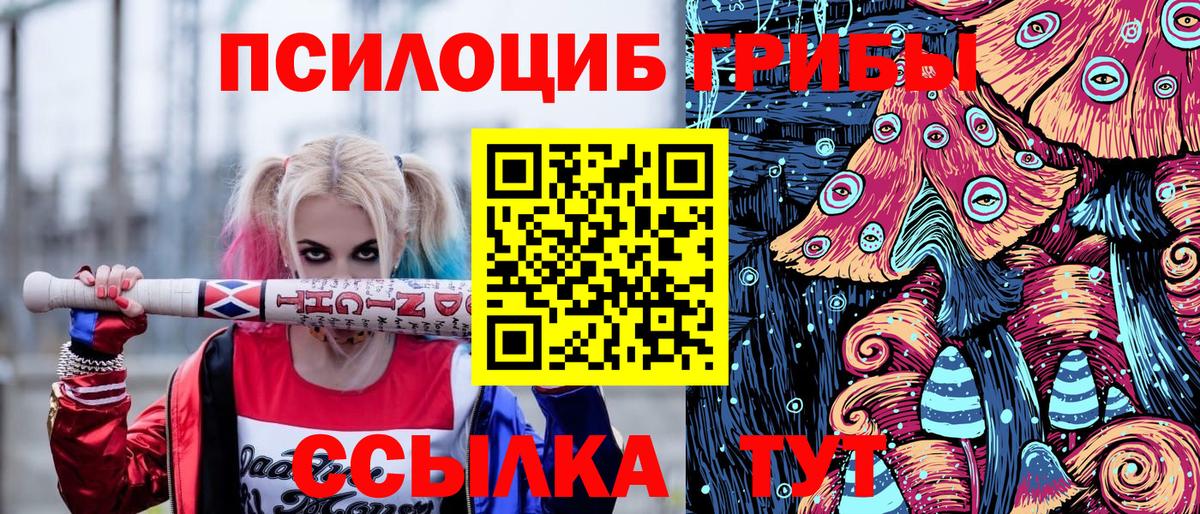 Златоуст  Псилоцибиновые грибы Cubensis  Псилоцибиновые грибы Cubensis  Вход с VPN 